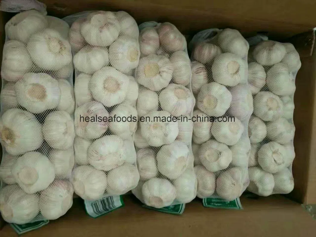 Chinese Frozen Fresh Pure White Garlic