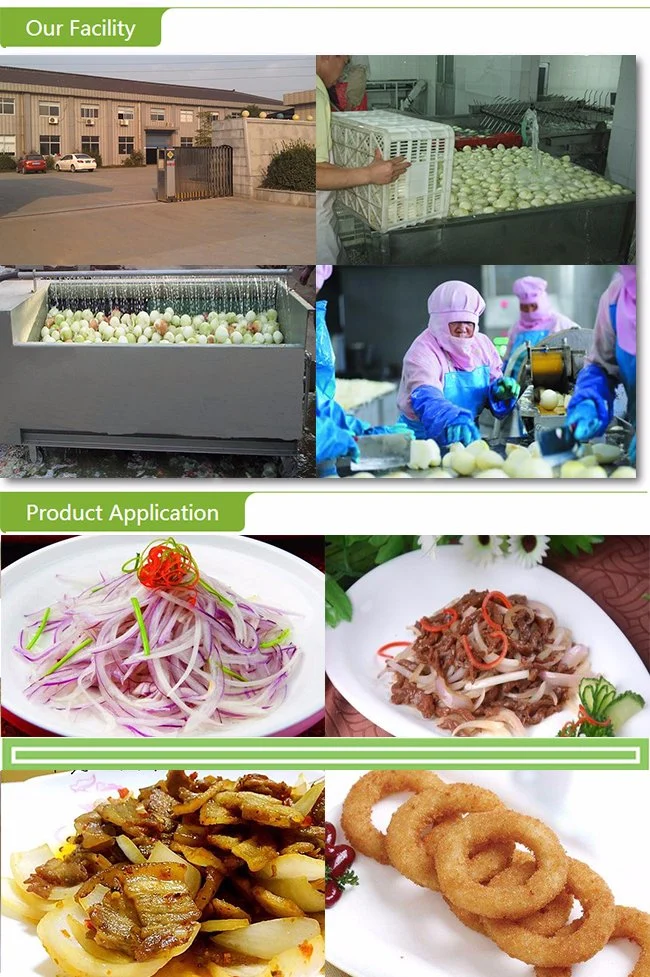 China Frozen Vegetables IQF Frozen Onion Dices with 10*10mm 6*6mm Onion Diced