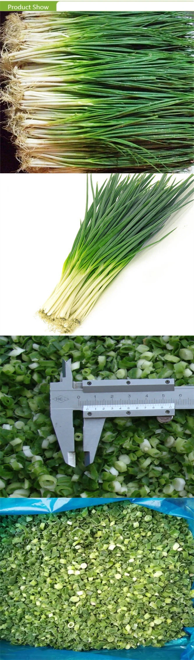 IQF Hight Quality Diced Chives with Good Price