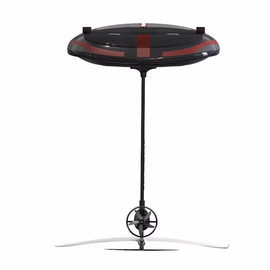 Concessões de preços/Fornecimento direto da origem/Alho fresco/Alho congelado/Alho seco